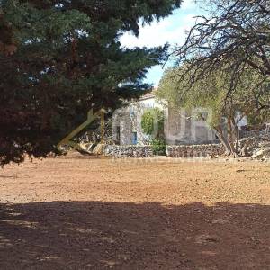 Cres, imanje od 76.054m2 s kućom