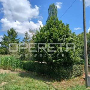Čret posavski, Bukevje, Bukevje, 3.200,00 m2, 60.000,00 EUR