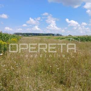 Čret posavski, Bukevje, Bukevje, 3.200,00 m2, 60.000,00 EUR