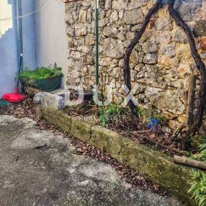 CRIKVENICA, BRIBIR-Starina s potencijalom
