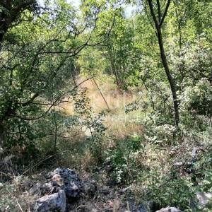 Crikvenica, Dramalj,  zemljište 223m2