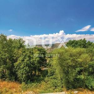 CRIKVENICA, GRIŽANE - Vila u prirodnom okruženju
