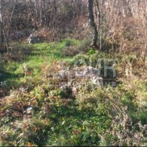 Crikvenica, poljoprivredno zemljište, 180m2