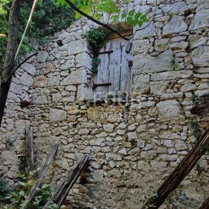 Crikveničko zaleđe, Tribalj, samostojeća kuća i ruševina, dvorište