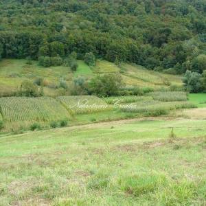 Cvetlin, građevinsko sa dva prilaza 