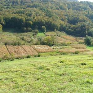 Cvetlin, građevinsko sa dva prilaza 