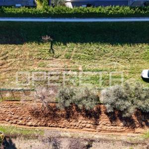 Dalmatinska , Funtana, 654,00 m2, 294.300,00 EUR