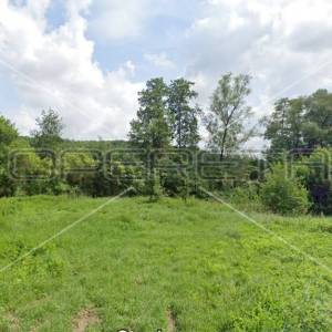 Daruvarski Brestovac, Daruvar, 64.800,00 m2, 972.000,00 EUR