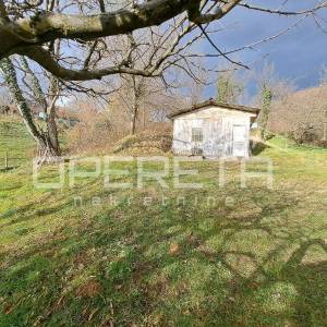 Dedići, Šestine, 1.373,00 m2, 480.550,00 EUR