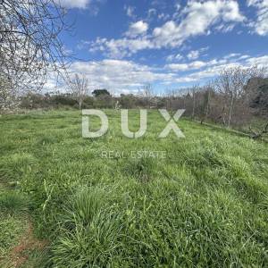 DIKLO, CERODOLE - Zemljište 1000m² sa objektom