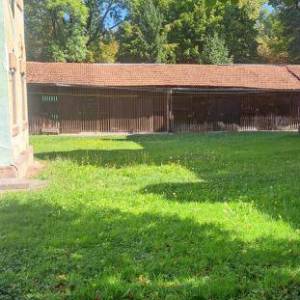 DUGA RESA: CENTAR 1-S, 30 m2, 1 kat, novouređen, klima, namješten (prodaja)