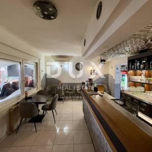 DUGO SELO, LUKARIŠĆE - prostrana poslovno-stambena kuća 330m2 + okoliš 800m2