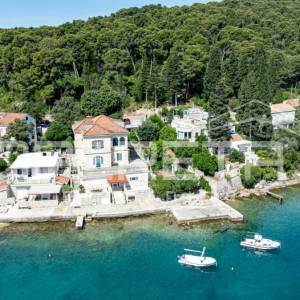 Dvije jedinice prvi red do mora, terasa i vrt, Korčula