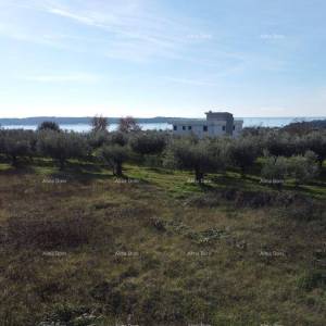 Dvojna kuća - Residencija Novi Home Novigrad