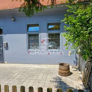 DVORIŠNI POSLOVNI PROSTOR, CENTAR