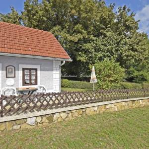 EKSKLUZIVNO: 100 g. STARA KUĆA+ŠUMA, 350 m OD DVORCA TRAKOŠĆAN 