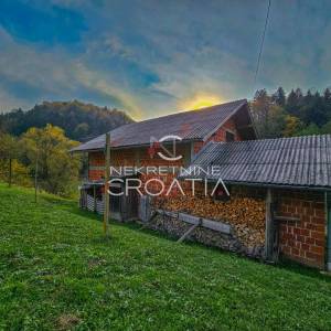 EKSKLUZIVNO: TRAKOŠĆAN, BREZOVA GORA