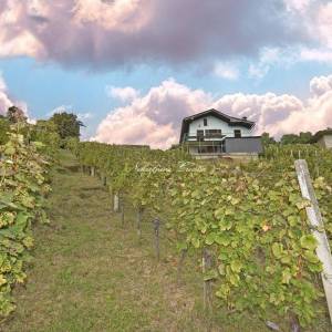  EKSKLUZIVNO, VINICA BREG: 18 km OD VARAŽDINA  