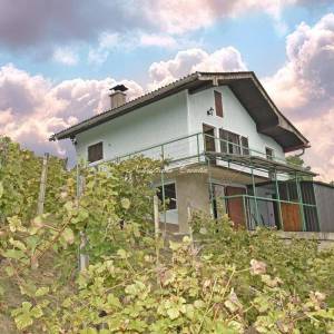  EKSKLUZIVNO, VINICA BREG: 18 km OD VARAŽDINA  
