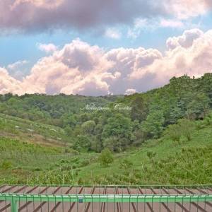  EKSKLUZIVNO, VINICA BREG: 18 km OD VARAŽDINA  