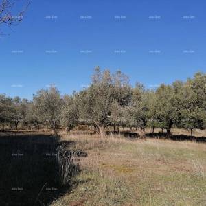 GALIŽANA - Zemljište u industrijskoj zoni
