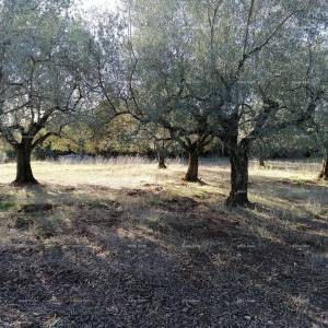 GALIŽANA - Zemljište u industrijskoj zoni