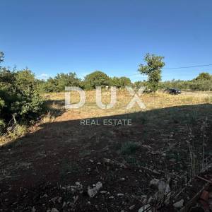 GALOVAC - Građevinsko zemljište 800 m² - Očišćeno - Asfaltiran prilaz!