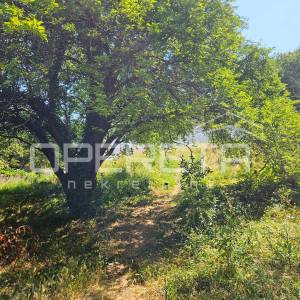 Gjurkov put, Gračani, 865,00 m2, 199.999,00 EUR