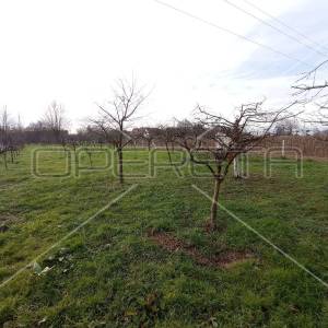 Golobreška, Brezovica, 2.620,00 m2, 222.700,00 EUR