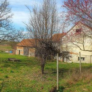  GORNJA POLJANA: stara kuća za rušenje 