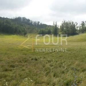 Gornje Jelenje, Lepenice, poljoprivredno zemljište 5.032m2