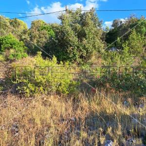 Gornje Kunjanovo, Vis, 6.207,00 m2, 43.400,00 EUR