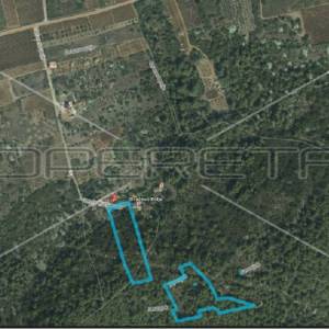 Gornje Kunjanovo, Vis, 6.207,00 m2, 43.400,00 EUR