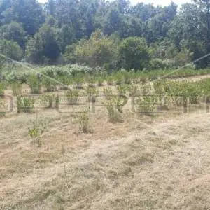 Gornji Skrad, Krnjak, 135.825,00 m2, 225.044,00 EUR