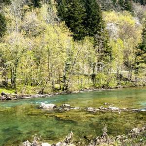 Gorski kotar, Brod na Kupi-okolica, samostojeća kuća
