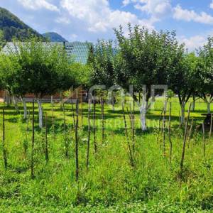 Gorski kotar, Brod na Kupi, zemljište s pogledom na rijeku Kupu