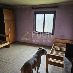 Gorski kotar, Čabar - Kozji Vrh, samostojeća kuća, 168m2