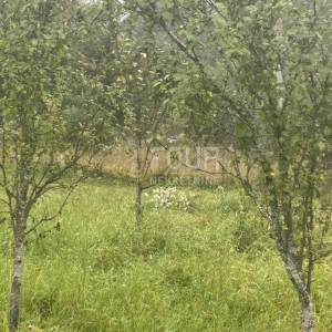 Gorski, kotar, Čabar - okolica, građevinsko zemljište, 1.482m2