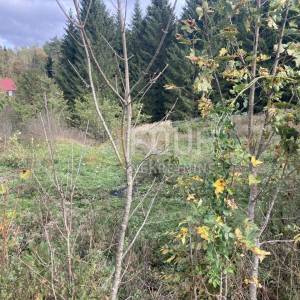 Gorski kotar, Crni Lug, građevinsko zemljište 3.023m2