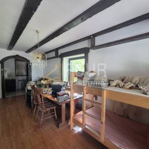 Gorski kotar, Delnice, 1s+db, 120m2, terasa