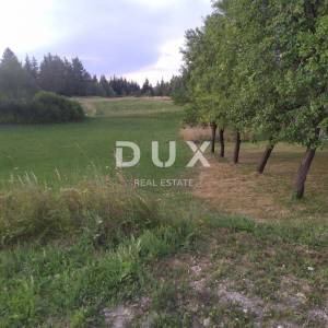 GORSKI KOTAR, DELNICE, KUPJAK - GRAĐEVINSKO ZEMLJIŠTE 1.115 m2 ZA OBITELJSKU KUĆU!!! PRILIKA!!!