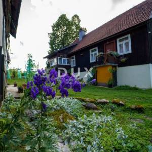 GORSKI KOTAR, DELNICE - projekt s 3 kuće za turizam