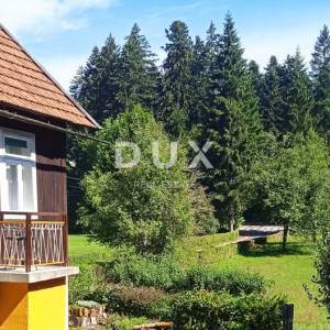 GORSKI KOTAR, DELNICE - projekt s 3 kuće za turizam