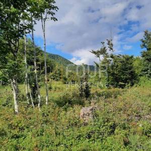 Gorski kotar, Lič, poljoprivredno zemljište, 9.794m2