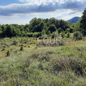 Gorski kotar, Lič, poljoprivredno zemljište, 9.794m2