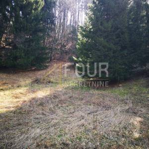 Gorski kotar, Lokve, poljoprivredno zemljište 22.210m2