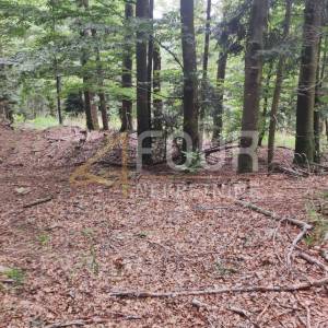 Gorski kotar, Lokve, poljoprivedno zemljište 406m2
