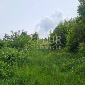 Gorski kotar, Mrkopalj - okolica, zemljište 6.000m2