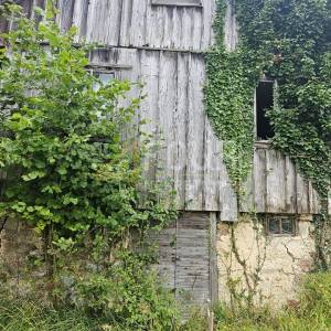 Gorski kotar, Prezid - okolica, starina s velikom okućnicom