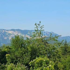 Gorski kotar, Prezid - okolica, starina s velikom okućnicom